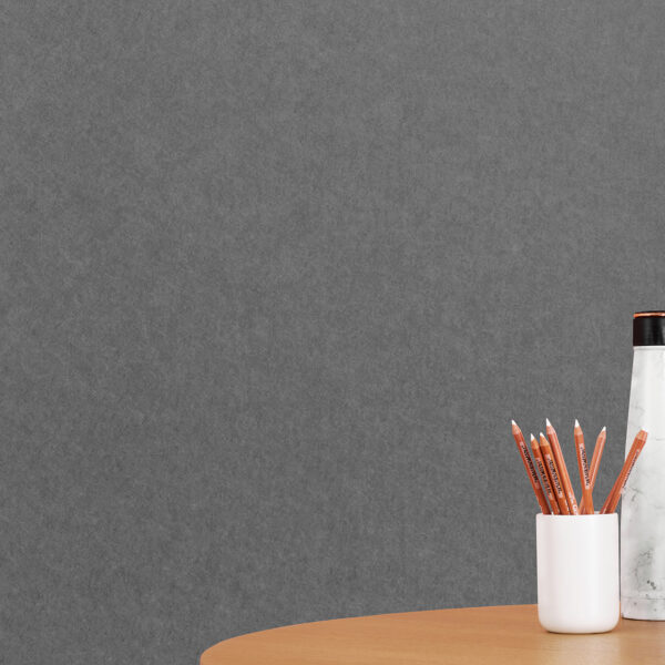 EchoPanel® Basic