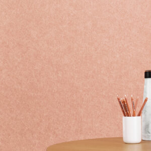 EchoPanel 487_Swatch_HI_taust