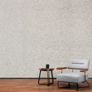 EchoPanel Cloudy 503