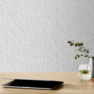 EchoPanel Frequency 100