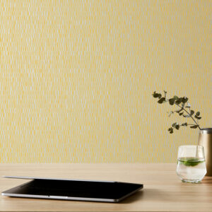 EchoPanel Frequency 124