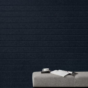 EchoPanel Latitude 289