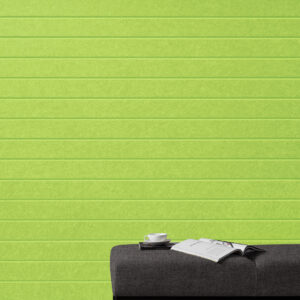 EchoPanel Latitude 381