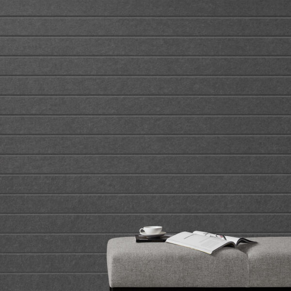 EchoPanel® Latitude