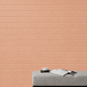 EchoPanel Latitude 487