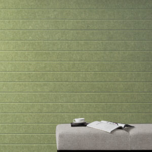 EchoPanel Latitude 579