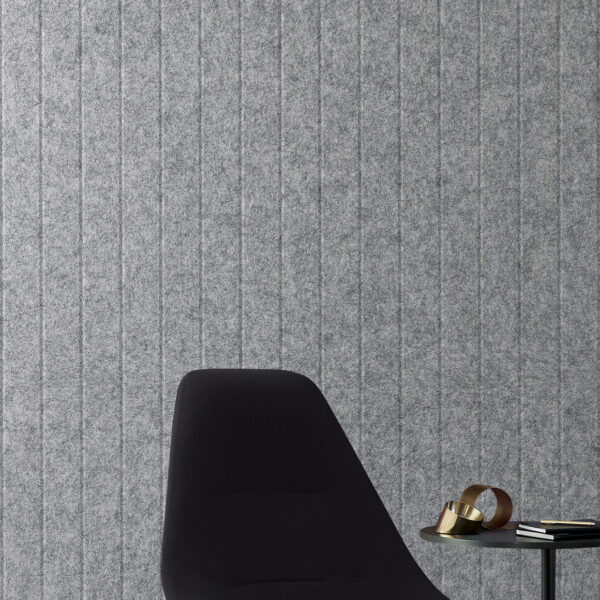 EchoPanel® Longitude