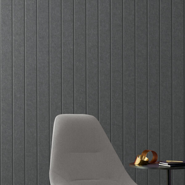 EchoPanel® Longitude