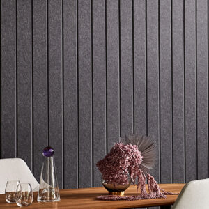 EchoPanel Longitude 447