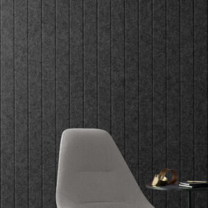 EchoPanel Longitude 542