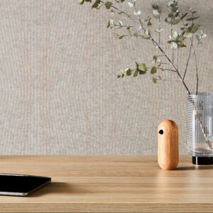 EchoPanel Trapeze 294