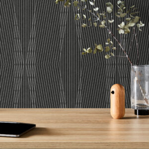 EchoPanel Trapeze 544