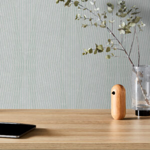 EchoPanel Trapeze 621